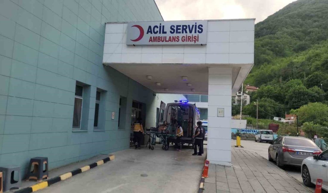 Kastamonu’da akrebin soktuğu kadın hastanelik oldu Kastamonu’nun İnebolu ilçesinde akrebin soktuğu yaşlı kadın, hastaneye kaldırılarak tedavi