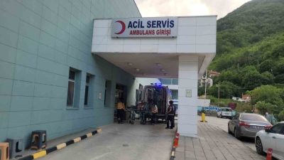 Kastamonu’nun İnebolu ilçesinde akrebin soktuğu yaşlı kadın, hastaneye kaldırılarak tedavi