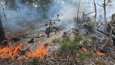 Kastamonu’nun Daday ilçesinde ormanlık alanda çıka yangın, ekiplerin hızlı müdahalesiyle