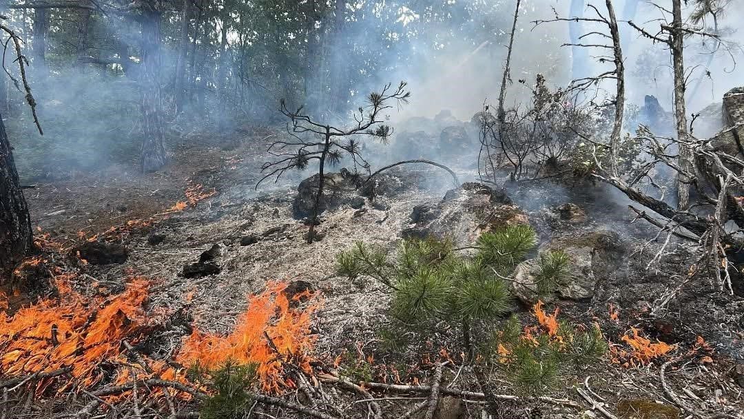 Kastamonu’da çıkan orman yangını büyümeden söndürüldü Kastamonu’nun Daday ilçesinde ormanlık alanda çıka yangın, ekiplerin hızlı müdahalesiyle