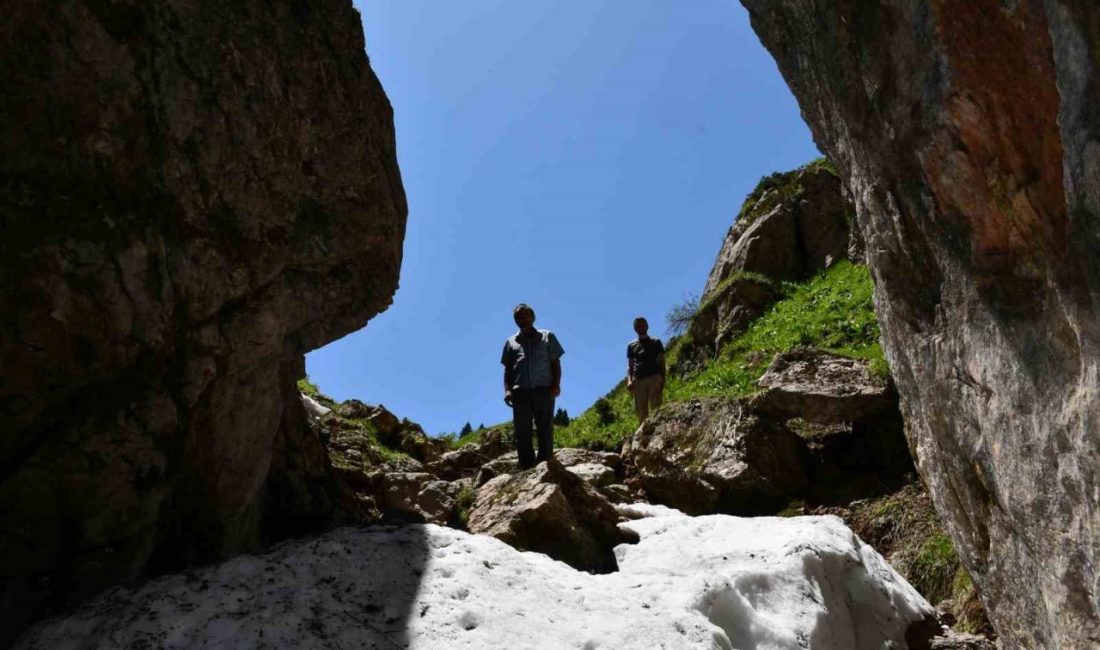 Kastamonu’nun Hanönü ilçesinde yapılan saha çalışmaları sırasında tespit edilen mağaranın