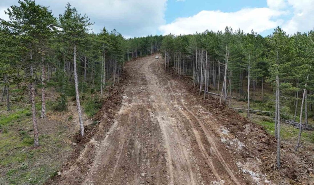 Kastamonu’da havaların ısınmasıyla ormanlardaki yangın riskine karşı tüm tedbirler alındı.