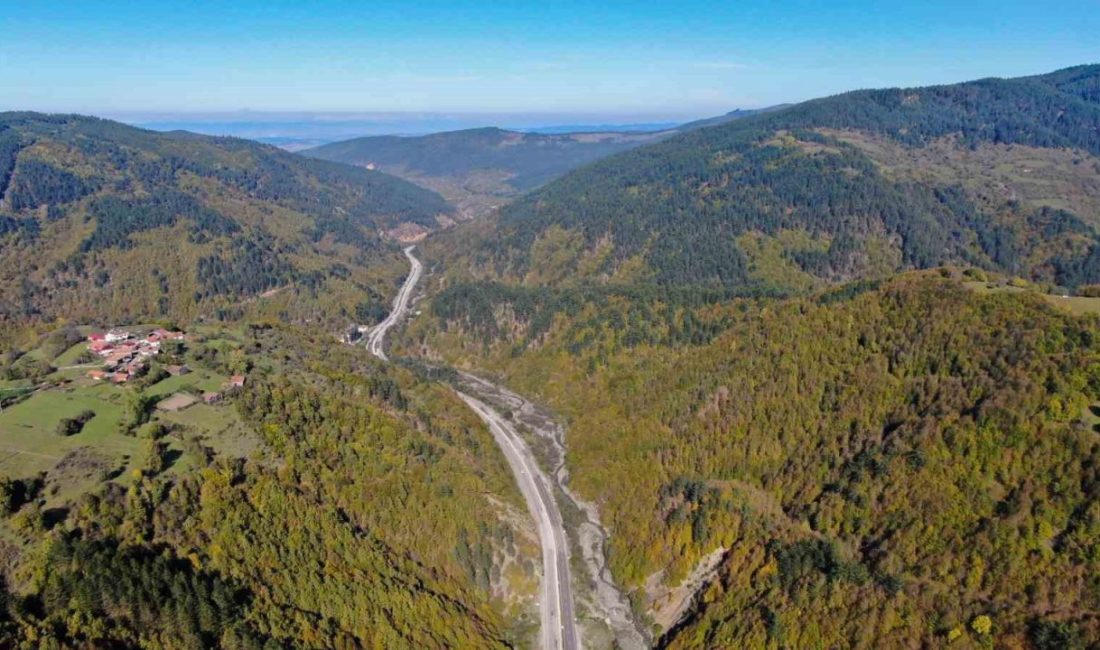 Kastamonu’da ormanlık alanlara girmek yasaklandı Kastamonu’da yangınları önlemek amacıyla tescilli piknik ve mesire alanları dışındaki