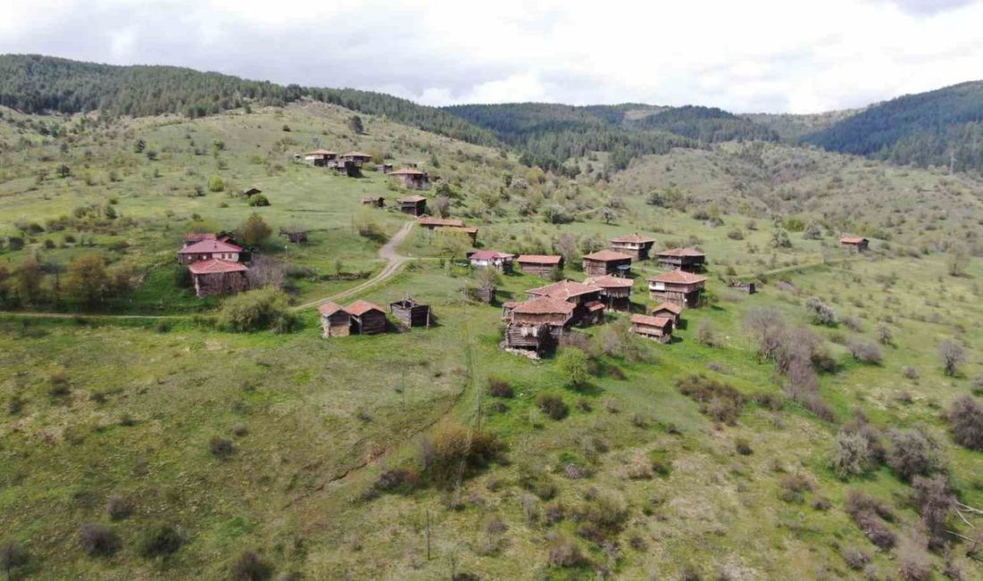 Kastamonu’nun tarihi köy evlerinin mimarisi, doğal güzelliğiyle büyülüyor Kastamonu’nun köylerinde yoğunlukta bulunan tarihi köy evleri, doğal güzellikleriyle kendisine