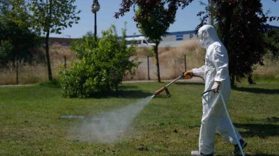 Yaz mevsiminin gelmesi ile birlikte gündemi meşgul eden Kene tehlikesine