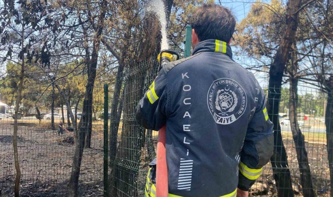 Kocaeli’de ağaçlık alanda yangın çıktı, 4 kişi dumandan etkilendi Kocaeli’nin Derince ilçesinde ağaçlık alanda çıkan yangın korkuttu. Alevlere müdahale
