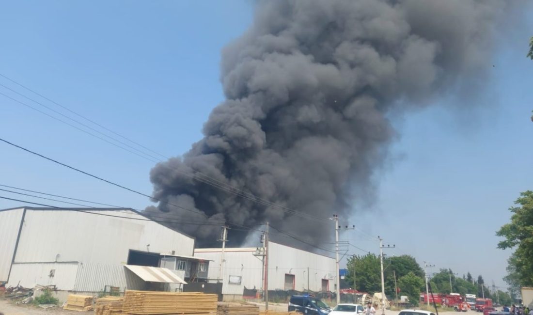 Kocaeli’de fabrika yangını Kocaeli’de bir boya fabrikasında yangın çıktı. Olay yerine çok sayıda
