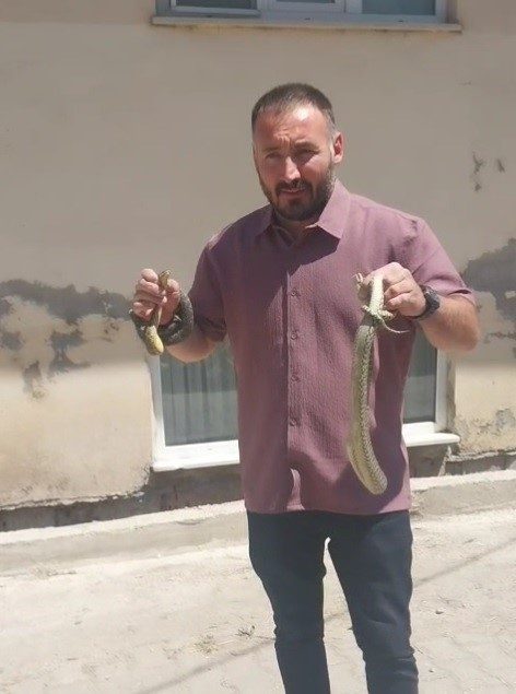 Bilecik’te bir vatandaş komşusunun evine giren yılanları eliyle çıkardığı için