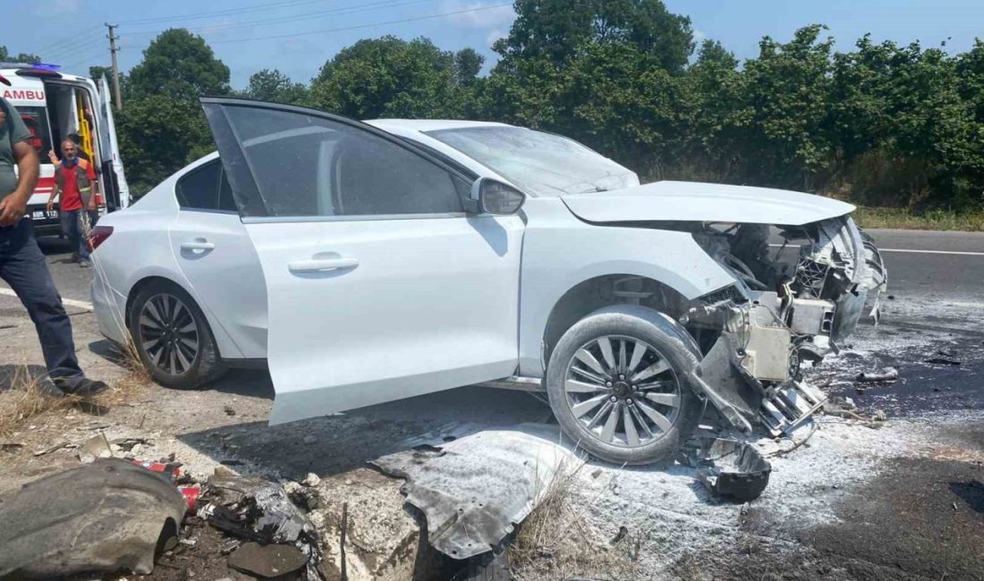 Kontrolden çıkan otomobil refüje çarpınca alev aldı: 2 yaralı Sakarya’nın Karasu ilçesi D-650 kara yolunda kontrolden çıkan otomobil, refüje