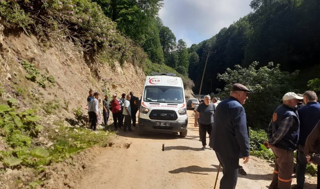 Kontrolden çıkan pat pat, dereye devrildi: 2 yaralı Sakarya’nın Akyazı ilçesinde kontrolden çıkan pat pat, dereye devrildi. Meydana
