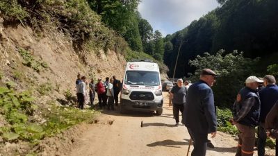 Sakarya’nın Akyazı ilçesinde kontrolden çıkan pat pat, dereye devrildi. Meydana