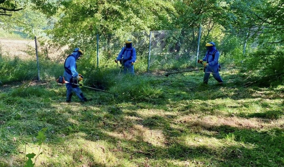 Körfez’de mezarlıkları bayrama hazır Körfez Belediyesi, yaklaşan Kurban Bayramı öncesinde vatandaşların ziyaretlerini rahat ve