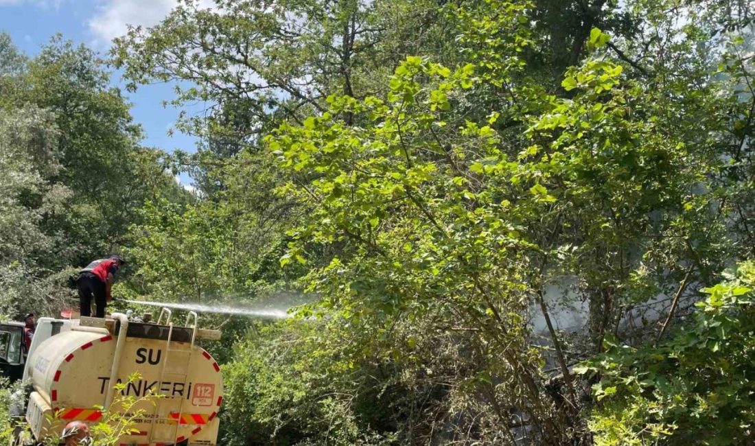 Koskoca tabiat parkı bir sigara izmariti yüzünden kül olacaktı Bilecik’in Pazaryeri ilçesinde bulunan Küçükelmalı Tabiat Parkı’nda bir sigara izmariti