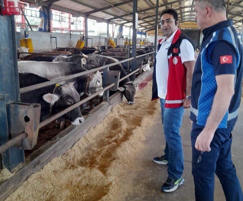 Kartepe’de bayramı öncesi kurban kesim ve satış yerlerinde sıkı denetim