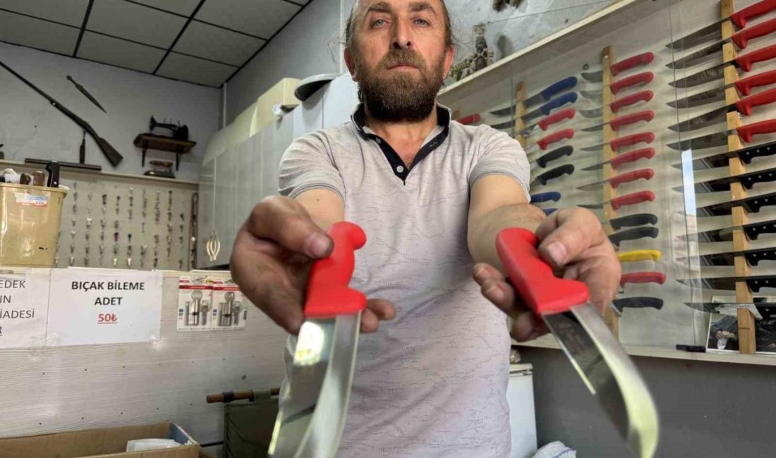 Kurban bayramına sayılı günler kala hangi bıçakların kullanılması gerektiğini uzmanı