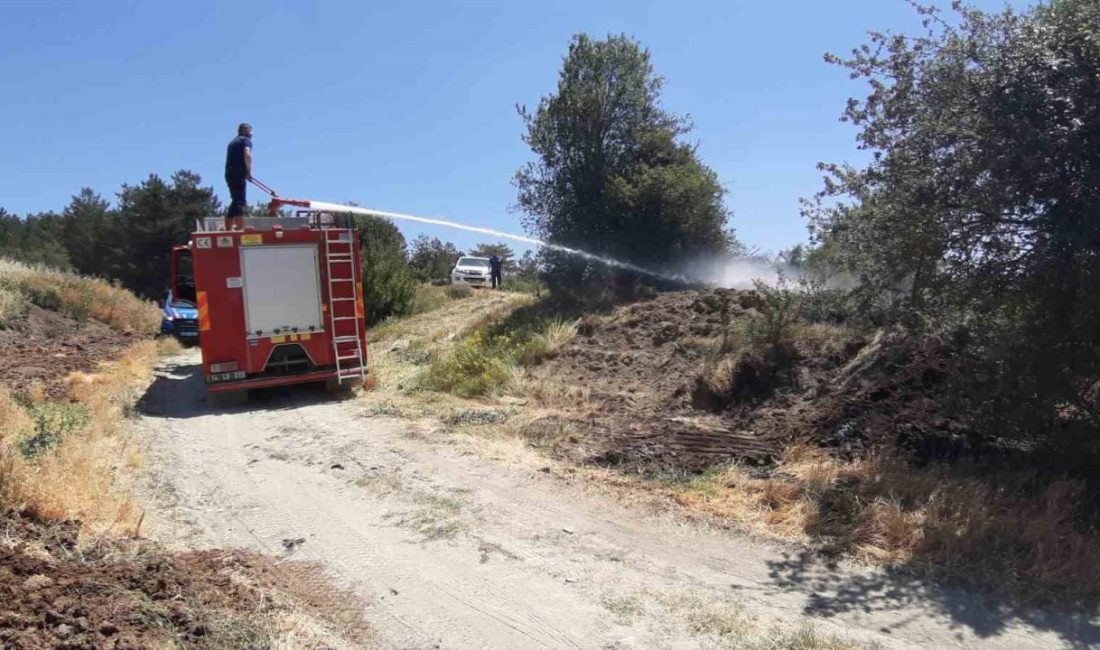 Kuru otlar alev aldı, köylüler toprakla söndürdü Bolu’nun Mudurnu ilçesinde kuru otların bulunduğu alanda yangın çıktı. Yangını