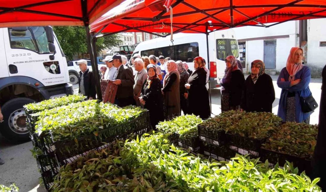 Mudurnu’da 108 bin fide dağıtıldı, çiftçiler akın etti Bolu’nun Mudurnu ilçesinde çiftçilere 108 bin domates ve biber fidesi