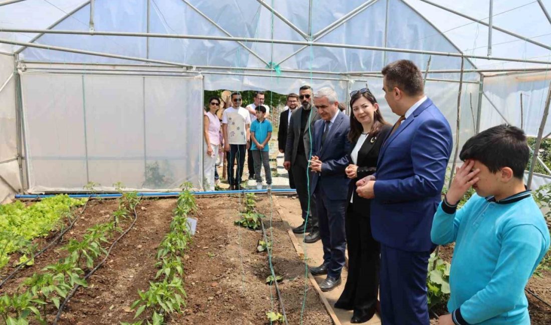 Kastamonu’da ortaokul öğrencilerinin mevsimlik sebze meyveler ile çeşitli bilgiler yetiştireceği