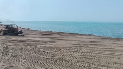 DÜZCE(İHA) – Düzce’nin Akçakoca ilçesinde sahile vuran ölü yunus balığı