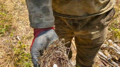 Sakarya’nın Taraklı ilçesinde çıkan orman yangınına müdahale eden ekipler, yalnızca