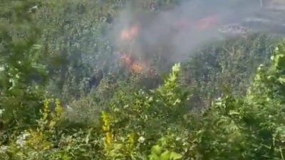 Sakarya’nın Akyazı ilçesinde otluk alanda çıkan yangın, kara yolunu kapladı.