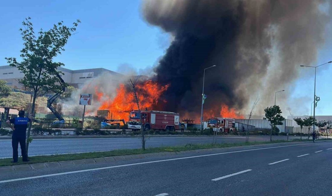 Palet fabrikası alev alev yanıyor Kocaeli’nin Çayırova ilçesinde palet fabrikası alev alev yanıyor. Bölgeye çok