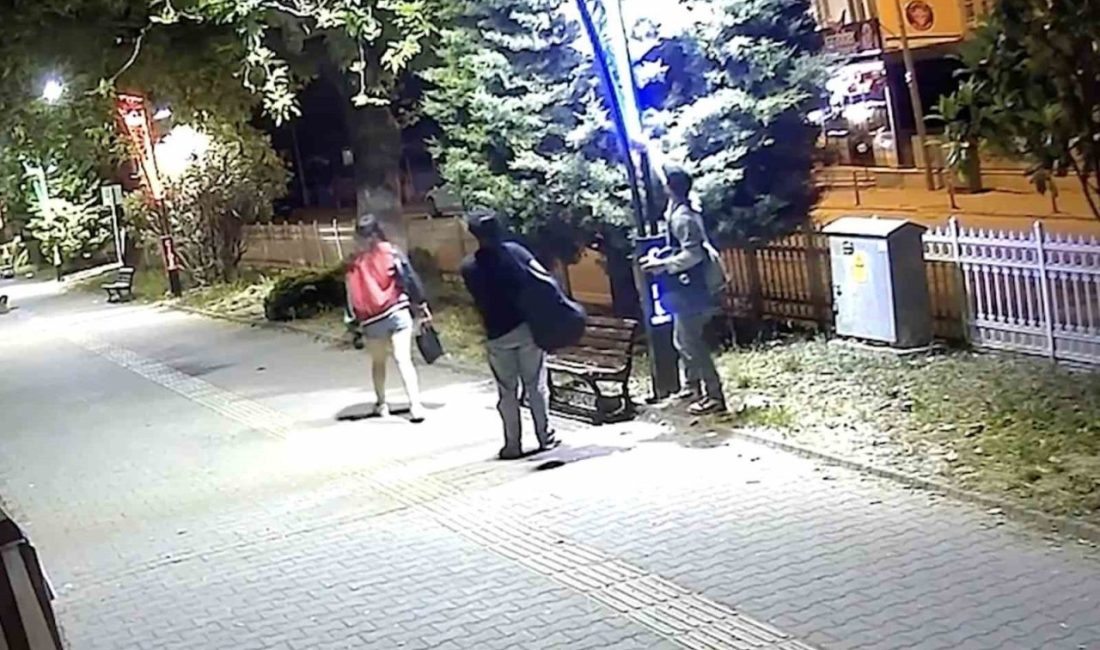 Pes dedirten görüntü: Eğlence için aydınlatma direklerine binlerce liralık zarar verildi Kastamonu’nun Cide ilçesinde, 22 aydınlatma direğinin kabloları eğlenmek isteyen gençler