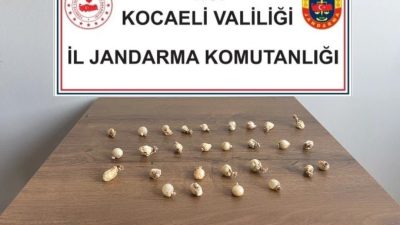 Kocaeli’nin Körfez ilçesinde rahatsızlanınca jandarma ve sağlık ekipleri tarafından hastaneye