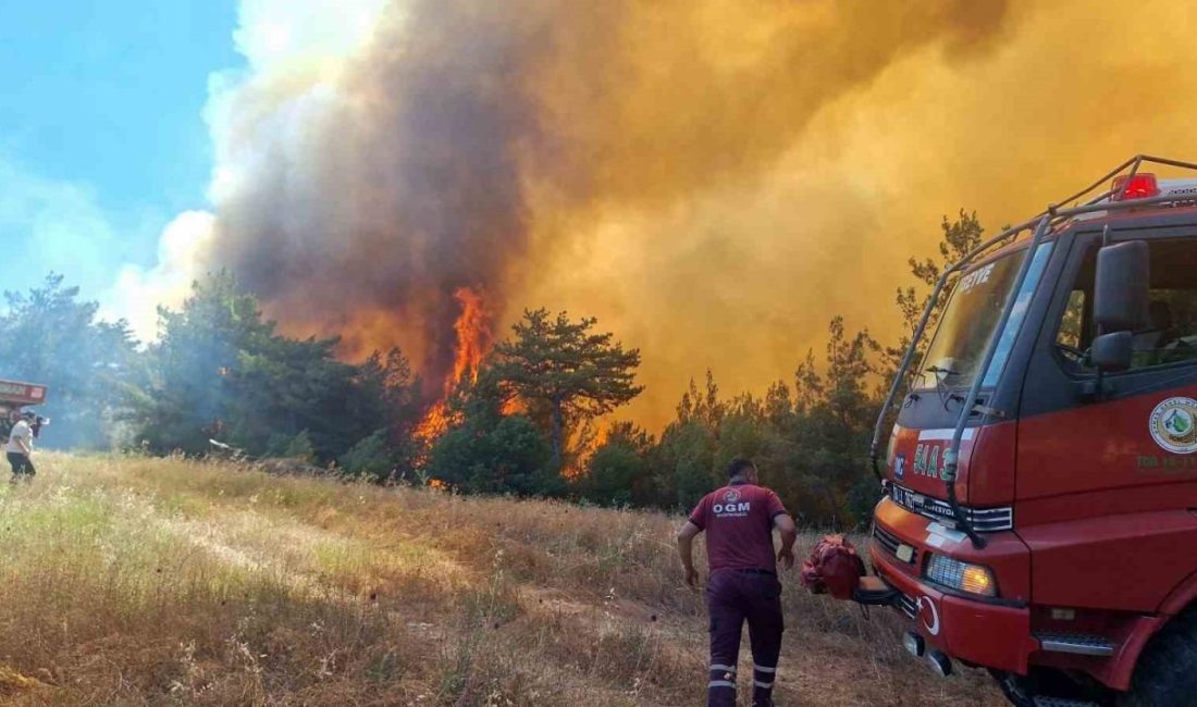 Sakarya’nın Taraklı ilçesinde çıkan orman yangınına ilişkin valilikten açıklama yayınlandı.