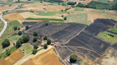 Sakarya’nın Adapazarı ilçesinde çıkan yangında buğday ve arpa ekili 150