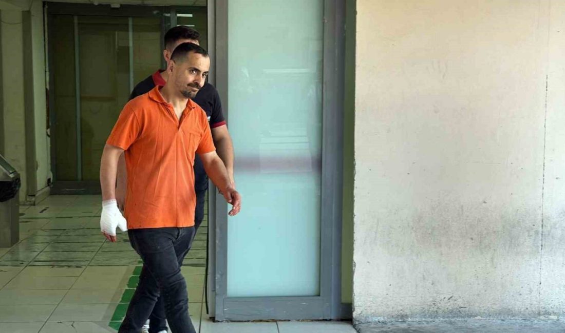 Sakarya’da 293 acemi kasap hastanelere başvurdu Sakarya genelinde kurban keserken yaralanan toplam 293 acemi kasap şehir