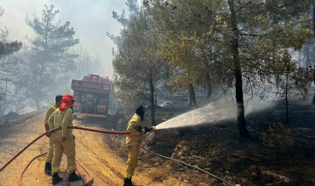 Sakarya’da başlayan orman yangını Osmaneli’ne de sıçradı Sakarya’da başlayan ve Bilecik’in Gölpazarı ilçesine sıçrayan orman yangını bu