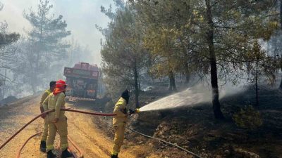 Sakarya’da başlayan ve Bilecik’in Gölpazarı ilçesine sıçrayan orman yangını bu