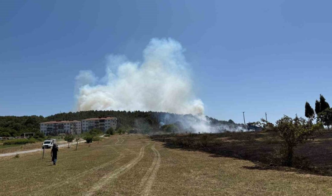 Sakarya’da depoda çıkan yangın ormana sirayet etti Sakarya Orman Bölge Müdürlüğü’nün Söğütlü ilçesindeki deposunda çıkan yangın, ormanlık