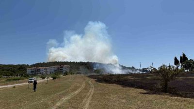Sakarya Orman Bölge Müdürlüğü’nün Söğütlü ilçesindeki deposunda çıkan yangın, ormanlık