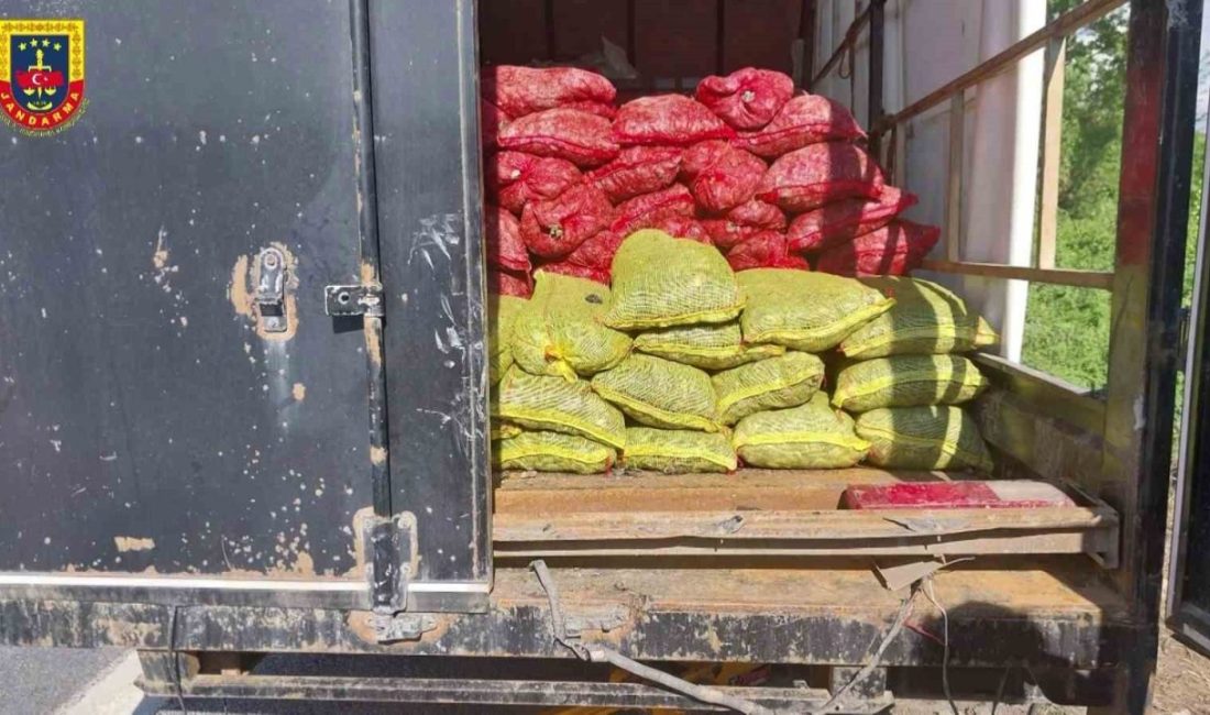 Sakarya’da midye vurgunu: Resmi evraksız 5 ton midyeye el kondu Anadolu Otoyolu Sakarya geçişinde durumundan şüphelenilerek jandarma ekiplerince durdurulan kamyonetten