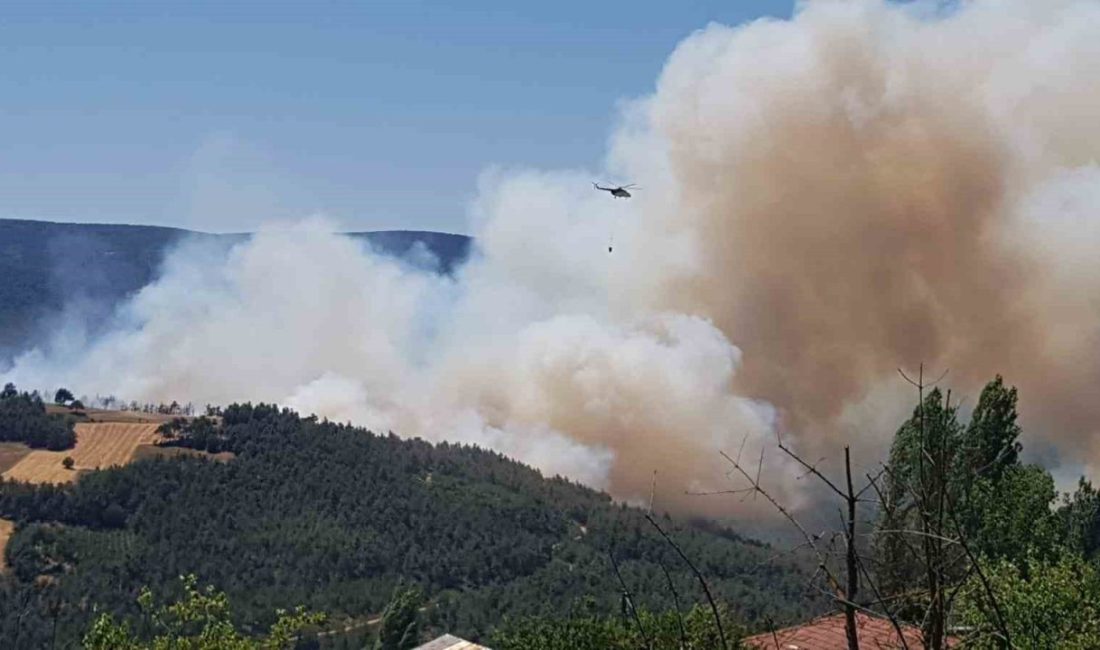 Sakarya’da orman yangını: Bölgeye çok sayıda ekip sevk edildi Sakarya’nın Taraklı ilçesinde ormanlık alanda yangın çıktı. Gökyüzüne ulaşan dumanlar