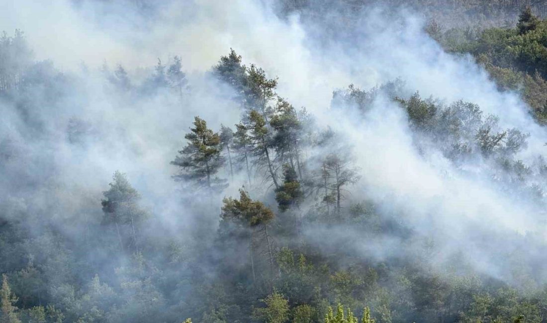 Sakarya’da ormanda yeniden yükselen alevlere havadan ve karadan müdahale edildi Sakarya’nın Taraklı ilçesinde ormanlık alanda büyük ölçüde kontrol altına alınan