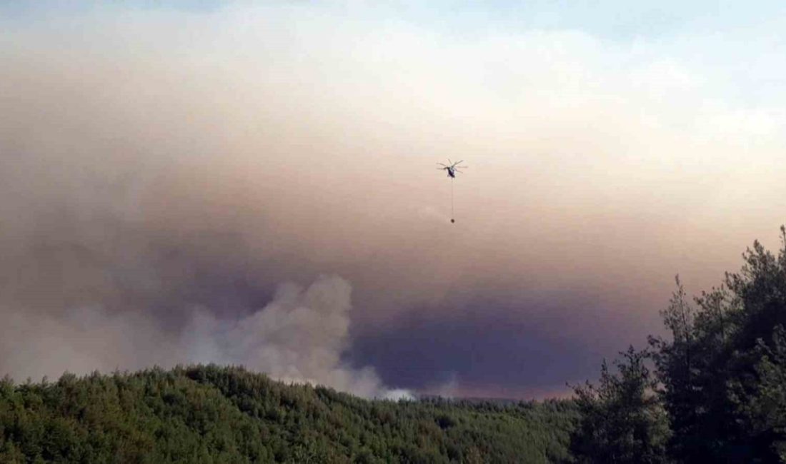 Sakarya’da ormanlık alanda çıkan yangına havadan ve karadan müdahale sürüyor Sakarya’nın Taraklı ilçesinde başlayarak Bilecik sınırına kadar ulaşan orman yangını,