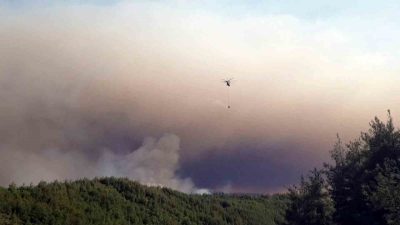 Sakarya’nın Taraklı ilçesinde başlayarak Bilecik sınırına kadar ulaşan orman yangını,
