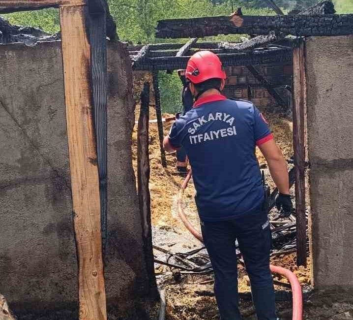 Sakarya’da samanlık ve ahırda çıkan yangında 24 civciv telef oldu Sakarya’nın Akyazı ilçesinde samanlıkta çıkan yangında 24 civciv telef oldu.