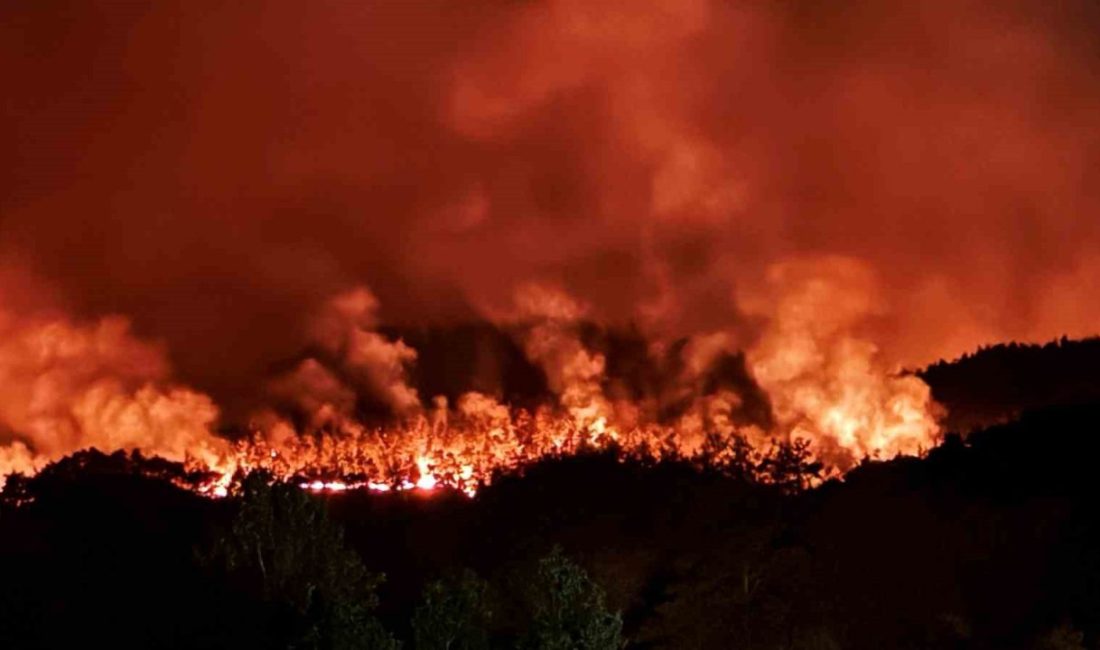 Sakarya’nın Taraklı ilçesinde öğle saatlerinde başlayan orman yangını gece saatlerinde