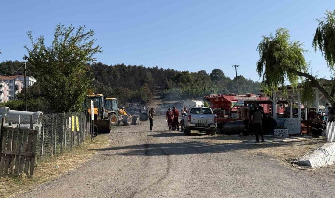 Sakarya’daki orman yangını kontrol altına alındı Sakarya Orman Bölge Müdürlüğü’nün Söğütlü ilçesindeki deposunda çıkarak ormanlık alana