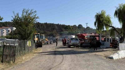 Sakarya Orman Bölge Müdürlüğü’nün Söğütlü ilçesindeki deposunda çıkarak ormanlık alana