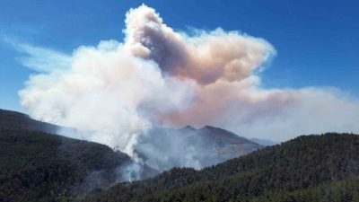 Sakarya’nın Taraklı ilçesinde dün başlayan ve rüzgarın etkisiyle büyüyerek Bilecik