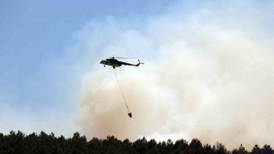 Sakarya Orman Bölge Müdürlüğü’nün Söğütlü ilçesindeki deposunda çıkan ve ormanlık