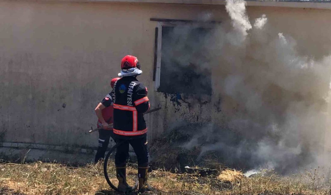 Samanlık deposunda yangın: 200 balya saman kül oldu Sakarya’nın Kaynarca ilçesinde bulunan samanlık deposunda yangın çıktı. 200 saman