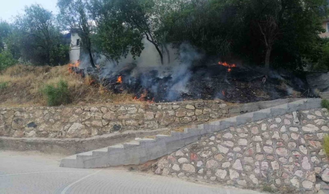 Bilecik’te otluk alanda sigara içen çocuklar yangın çıkarırınca olay yerinden