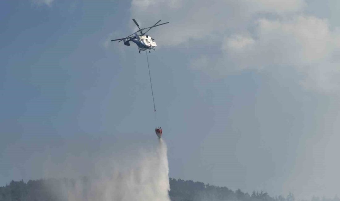Sakarya’nın Taraklı ilçesinde çıkan ve büyük oranda kontrol altına olan