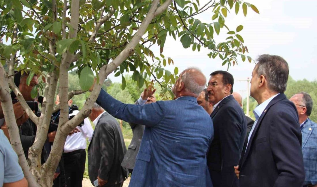 Türkiye Büyük Millet Meclisi Zirai Don Araştırma Komisyonu, Bolu’da incelemelerde